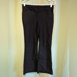 Express Design Studio Editor Flare Slacks